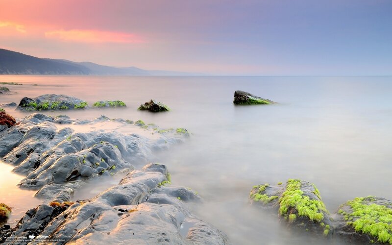 Rocks Covered in Moss — Pink