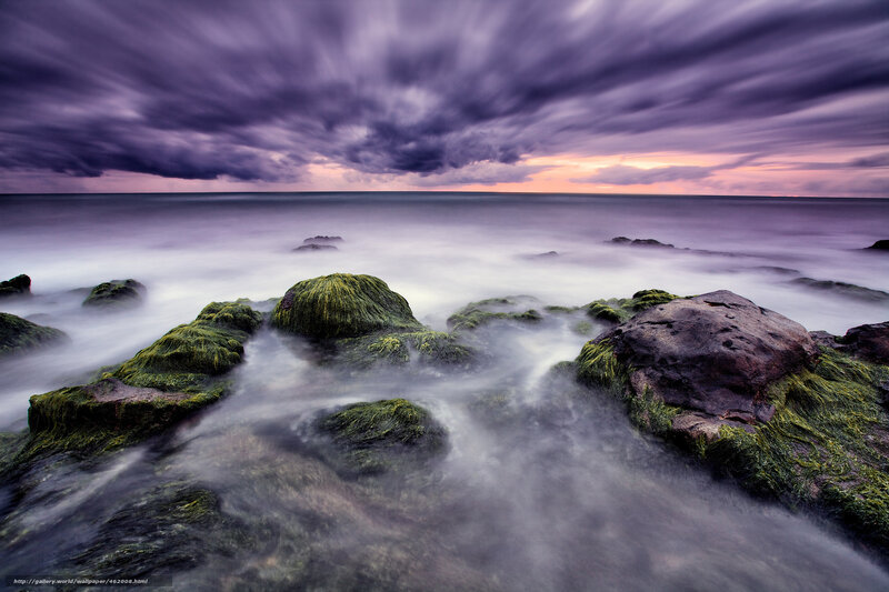 Rocks Covered in Moss — Purple