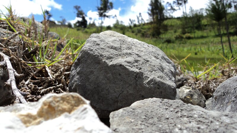 Rocks in a grassy field