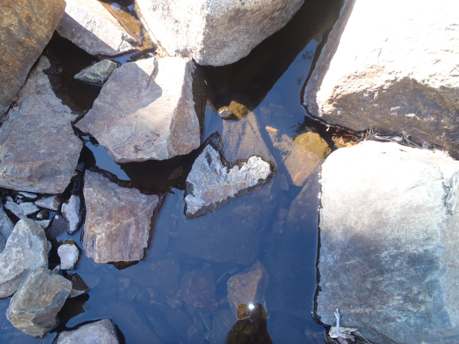 rocks in a shallow stream