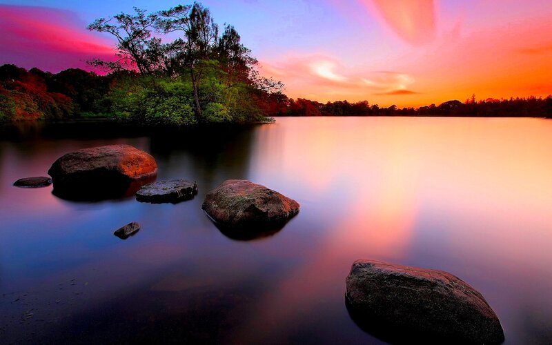 Rocks in Calm Lake — Purple, Serene, Sunset, Photograph, Trees