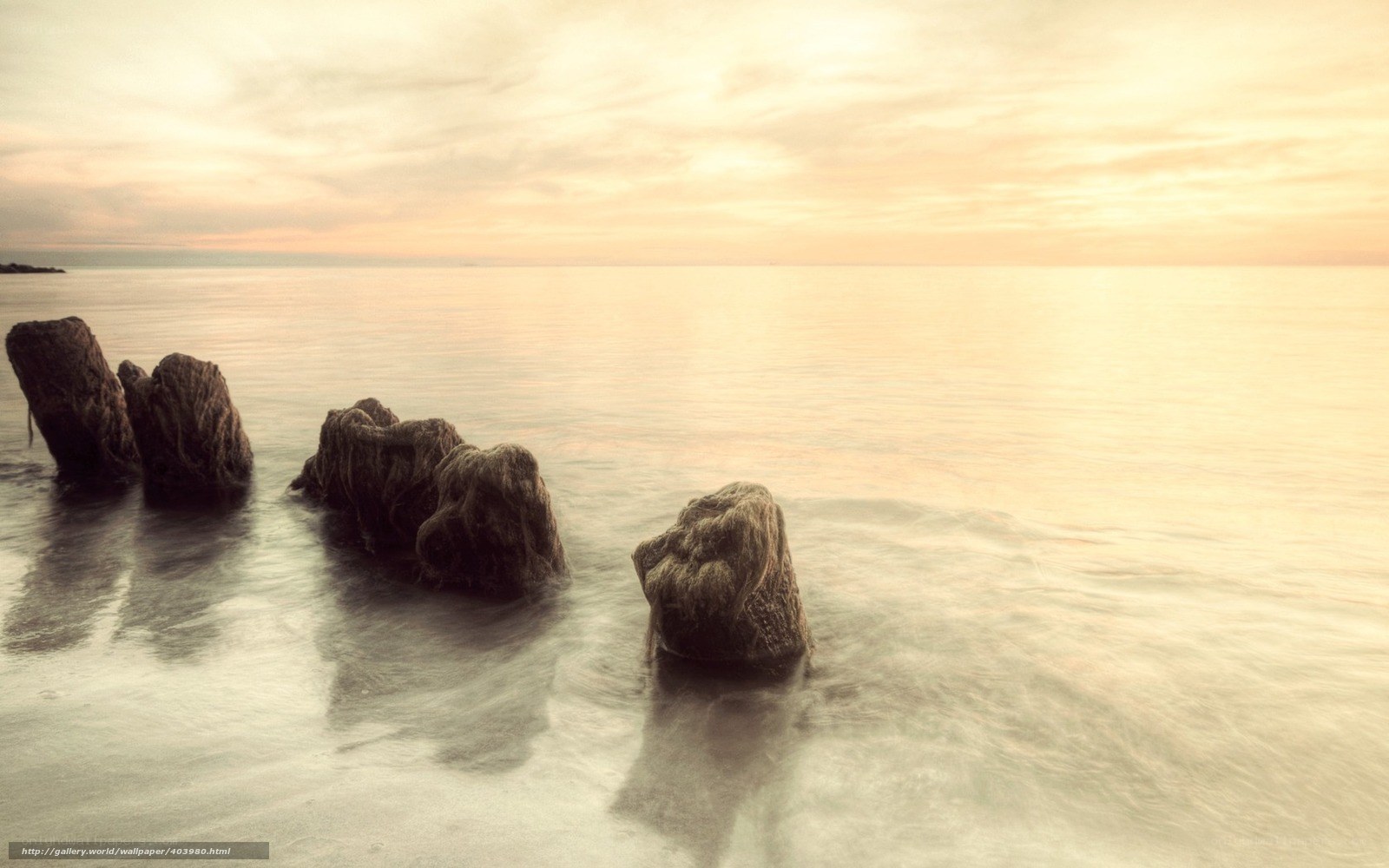 rocks in calm sea at sunset