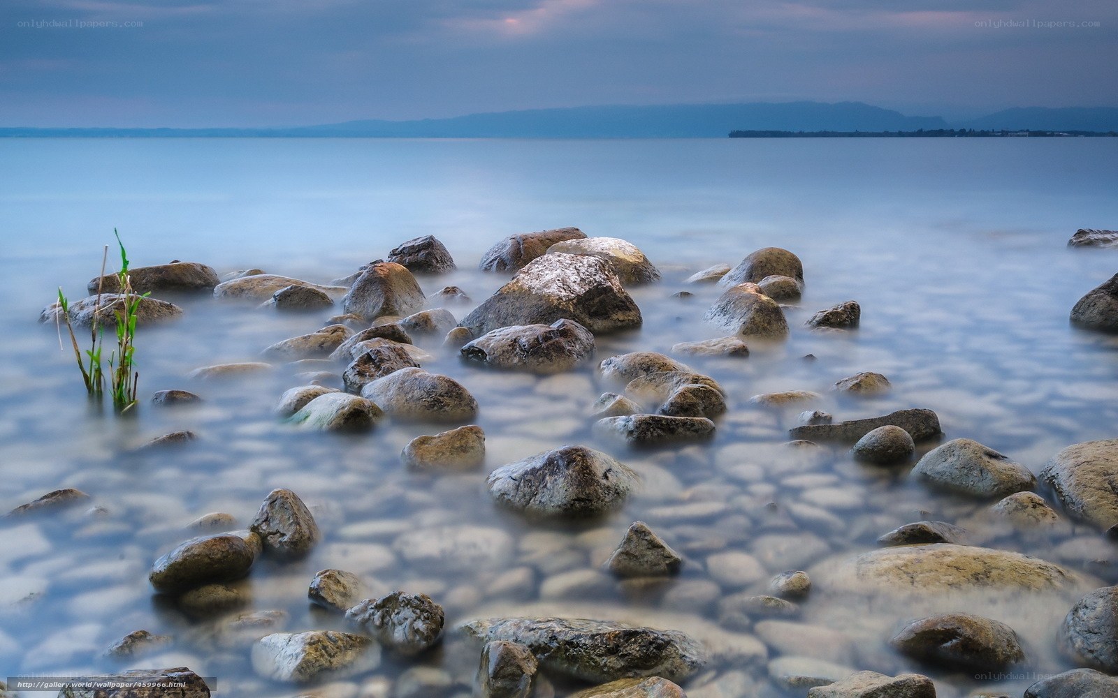 Rocks in calm water at dusk