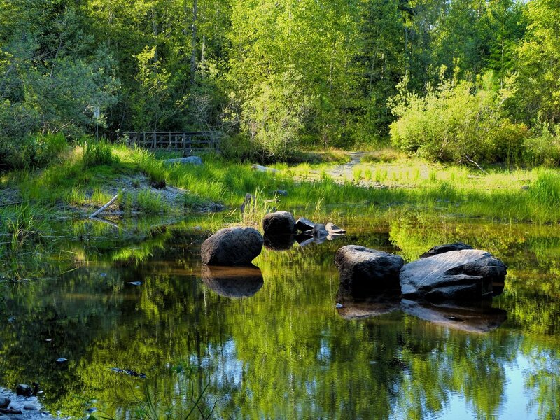 Rocks in Calm Water — Green