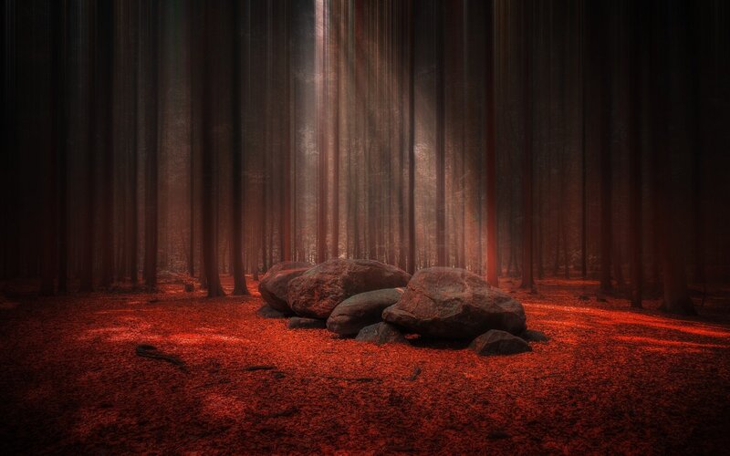 Rocks in Forest