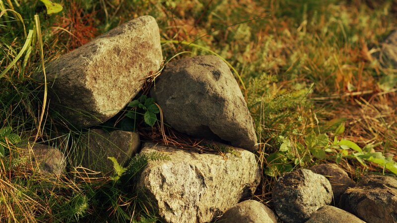rocks in grass at sunset