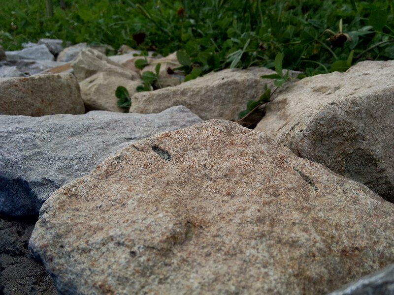 Rocks in Green Grass