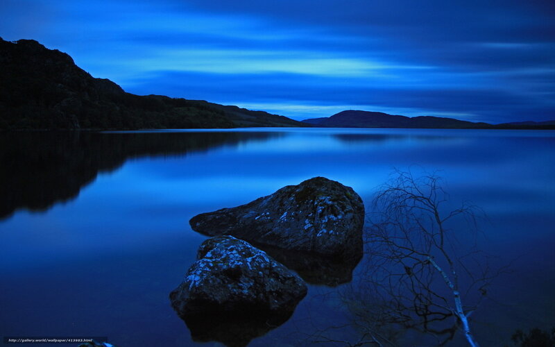 Rocks in Lake at Dusk — Blue, Serene, Night