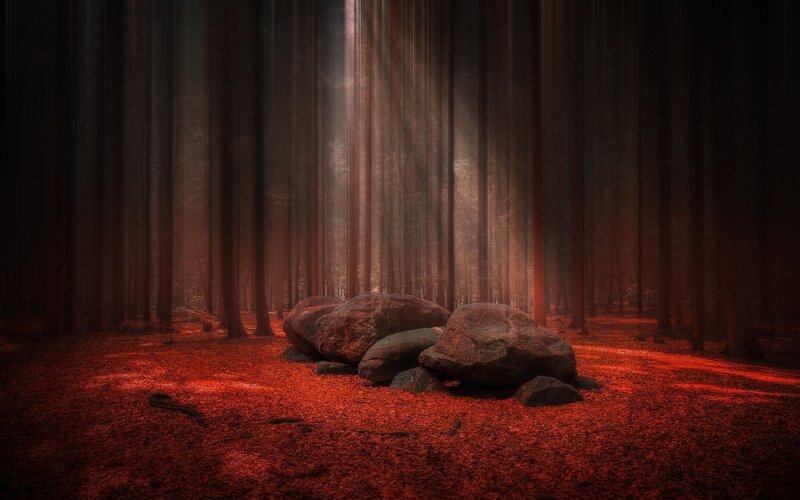Rocks in Red Forest