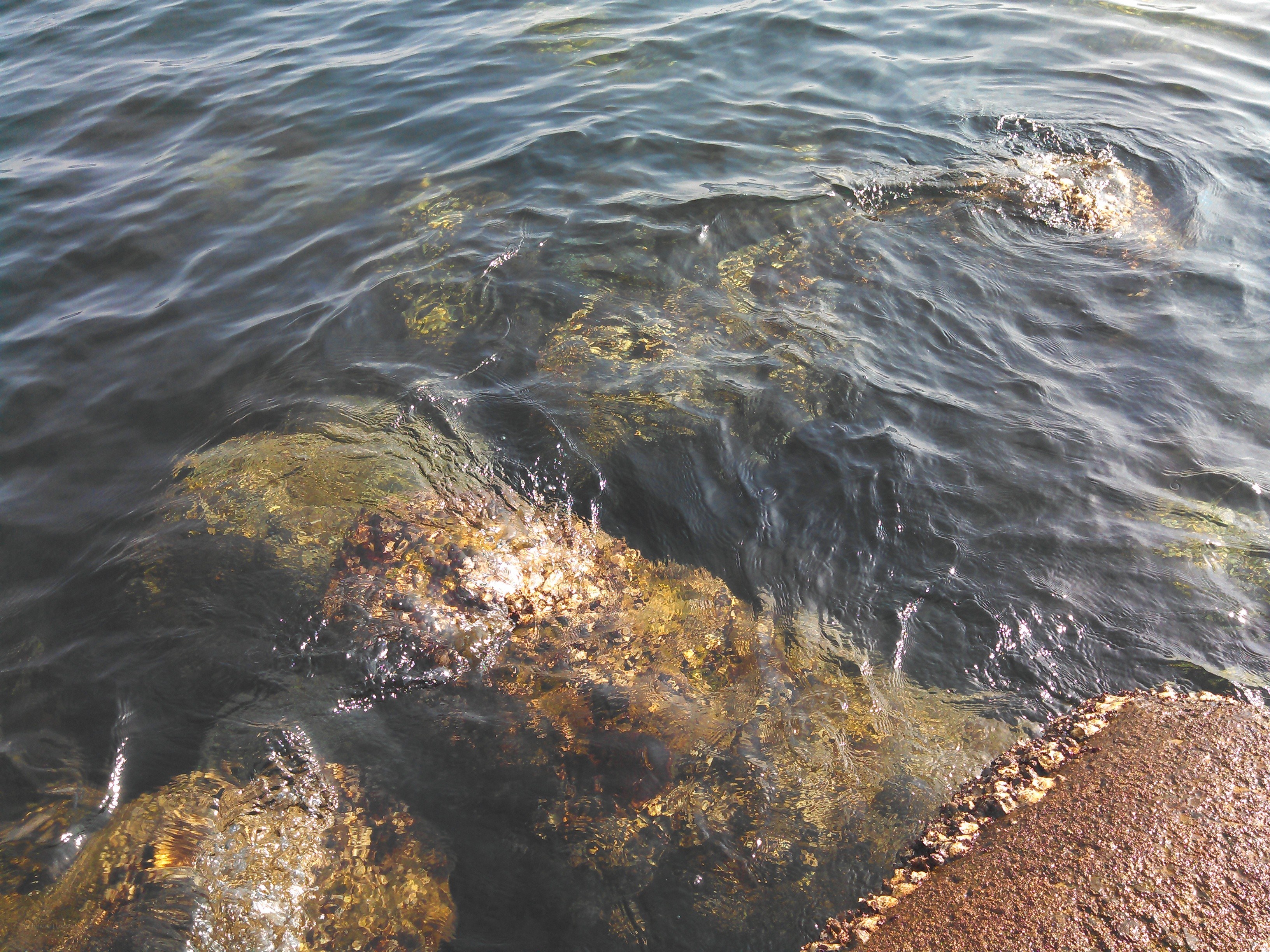 Rocks in shallow water