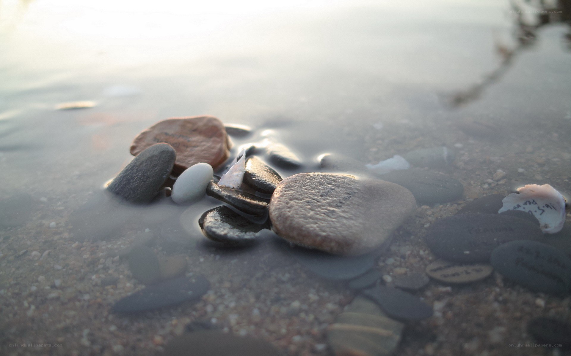 rocks in shallow water