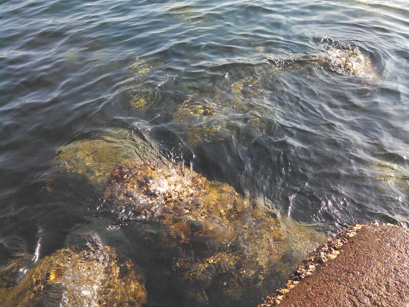 Rocks in Shallow Water — Blue, Calm, Afternoon, Photograph, Brown