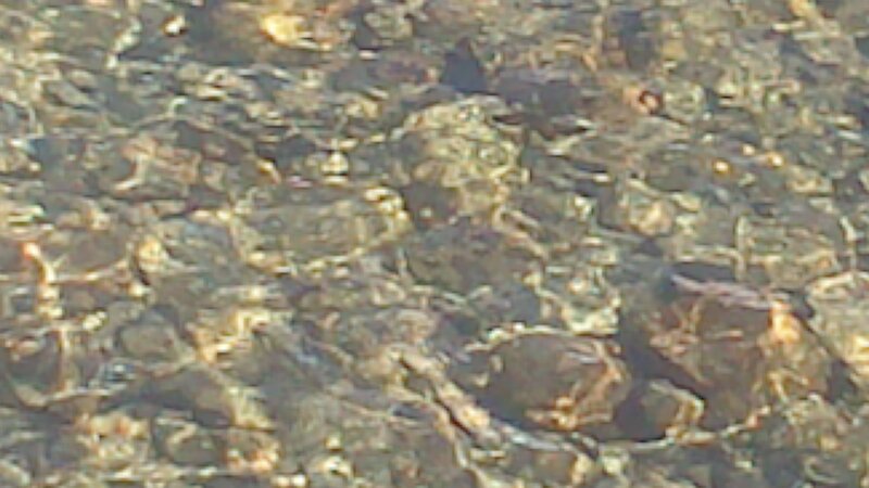 Rocks in Shallow Water — Brown, Calm
