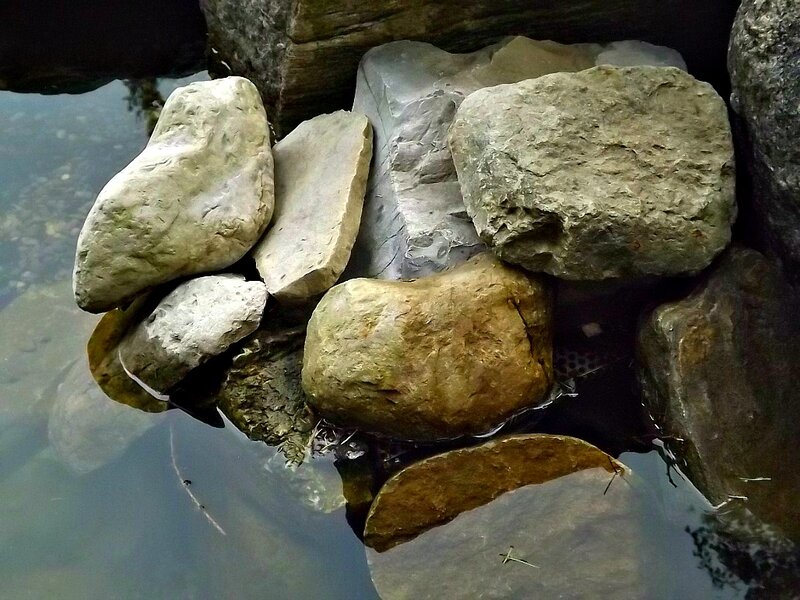 Rocks in Shallow Water — Gray, Calm