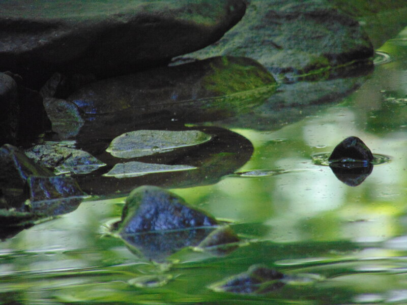 Rocks in Shallow Water — Green