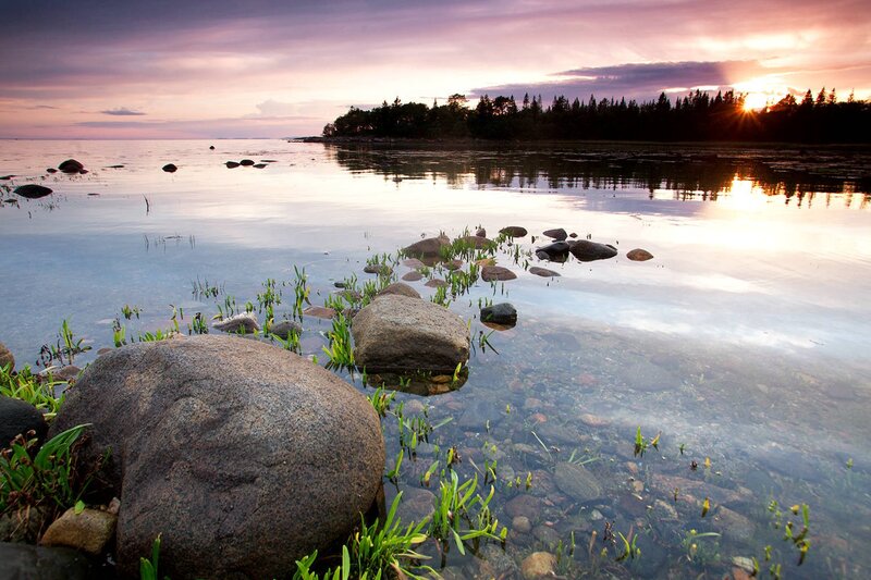Rocks in Shallow Water — Purple, Serene