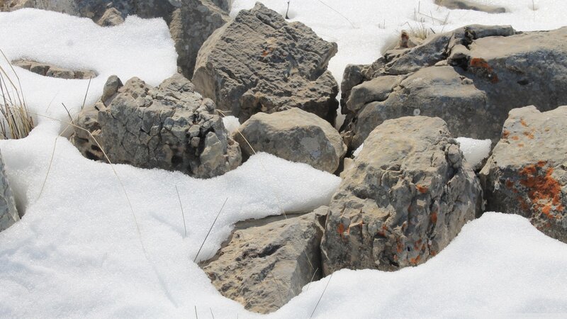 Rocks in Snow