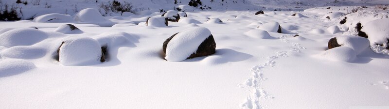 Rocks in Snow — White
