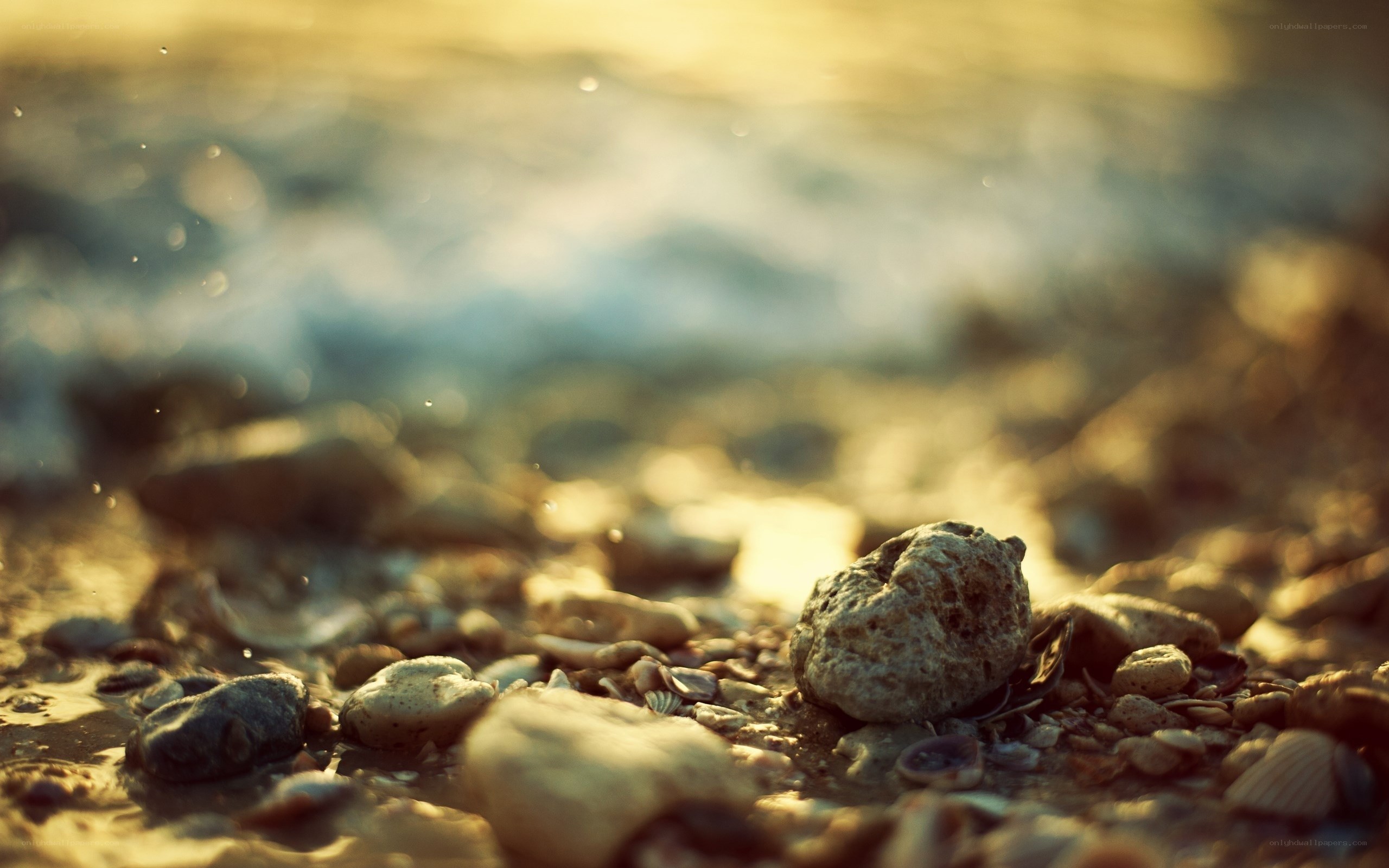 rocks on a beach at sunset