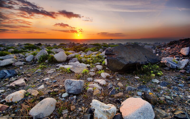 Rocks on a Beach — Orange, Serene