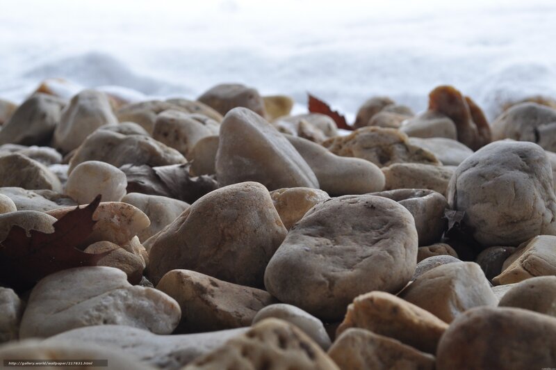 rocks on a beach