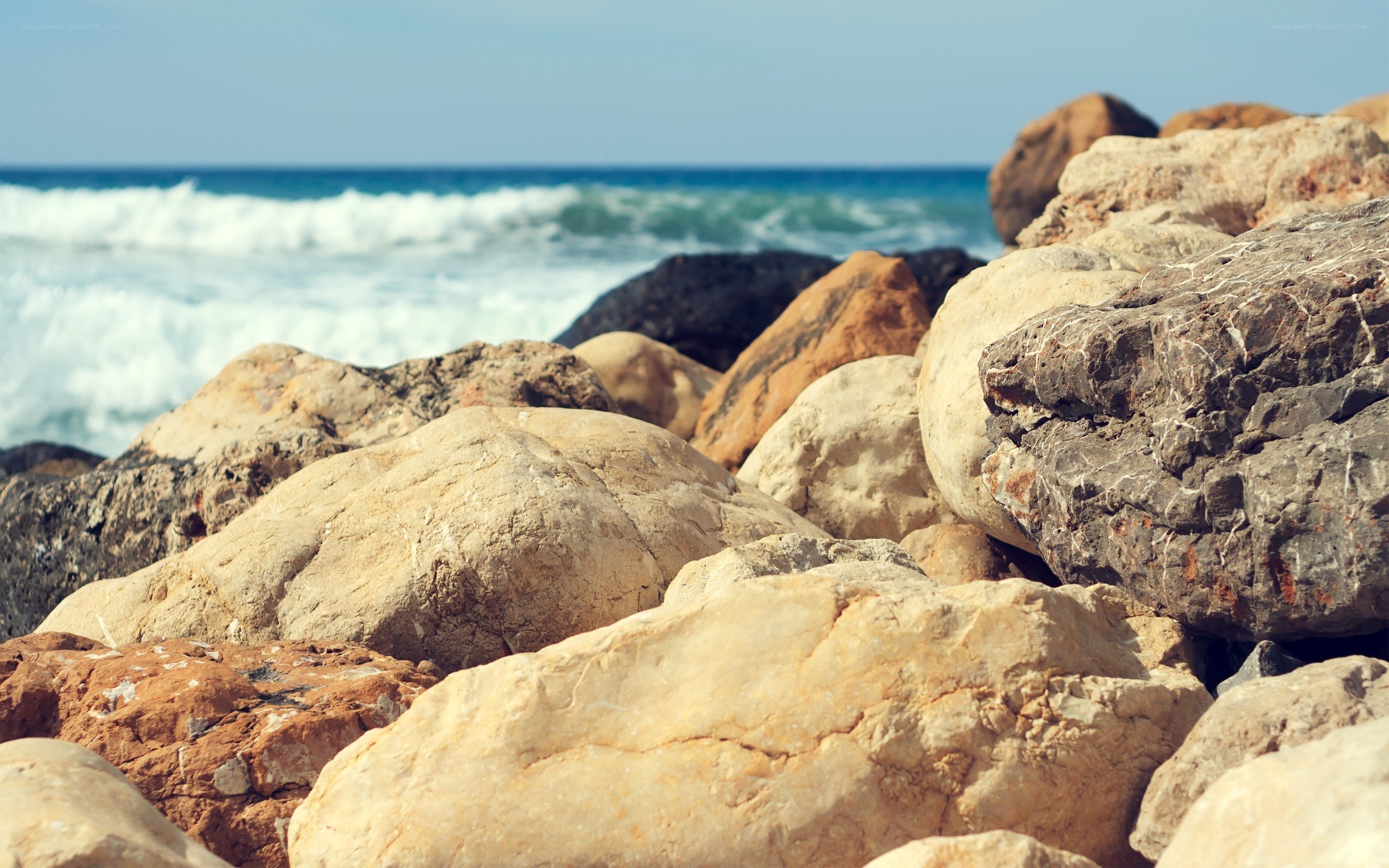 rocks on a beach with ocean