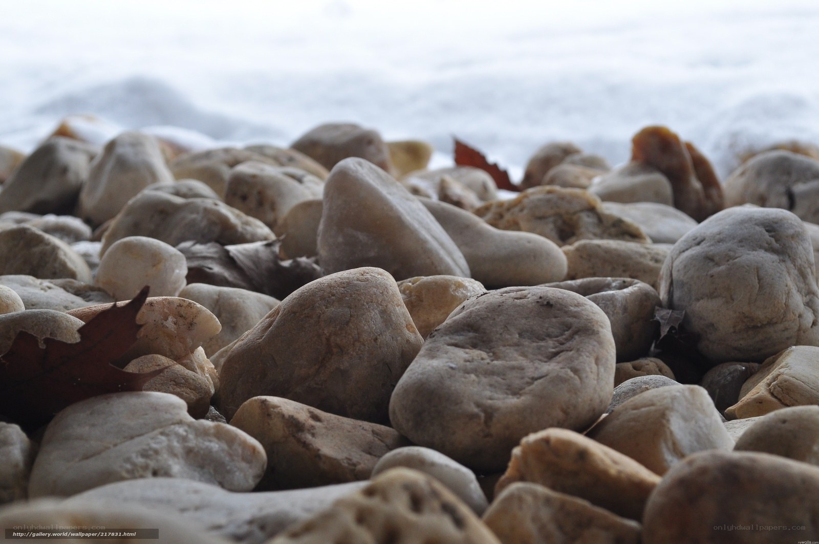 rocks on a beach