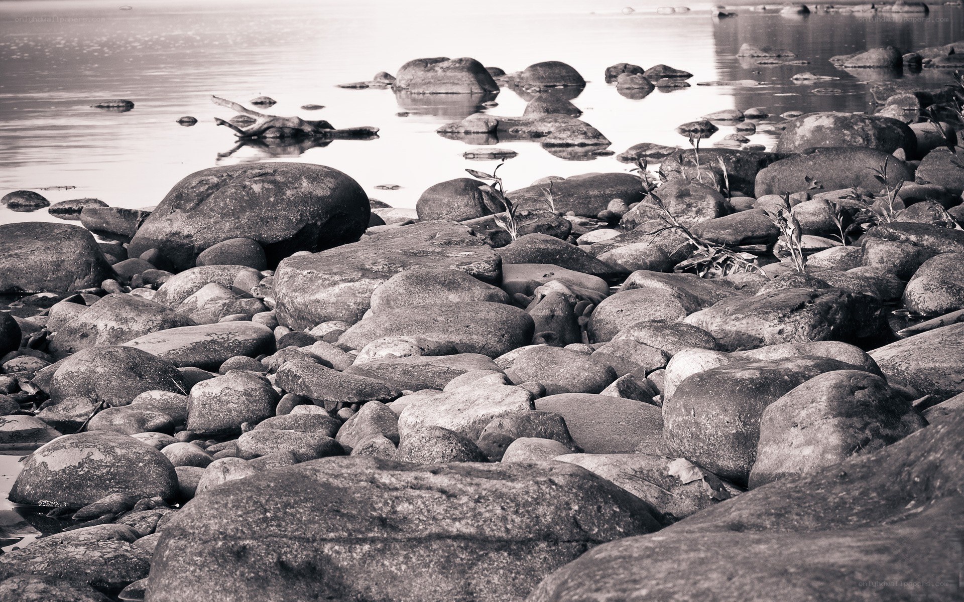 Rocks on a calm shoreline