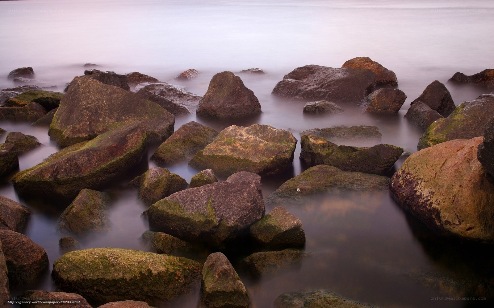 rocks on a misty shoreline