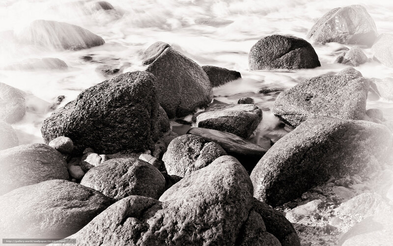 Rocks on a Seashore