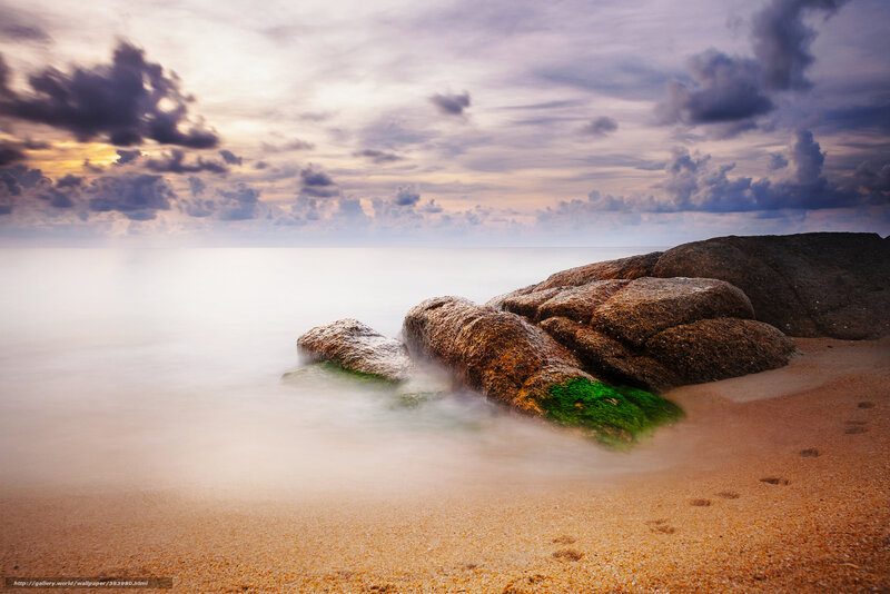 Rocks on Beach at Sunset — Brown, Serene