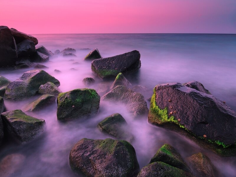 Rocks on Beach at Sunset — Pink, Serene, Photograph, Ocean, Sky, Moss