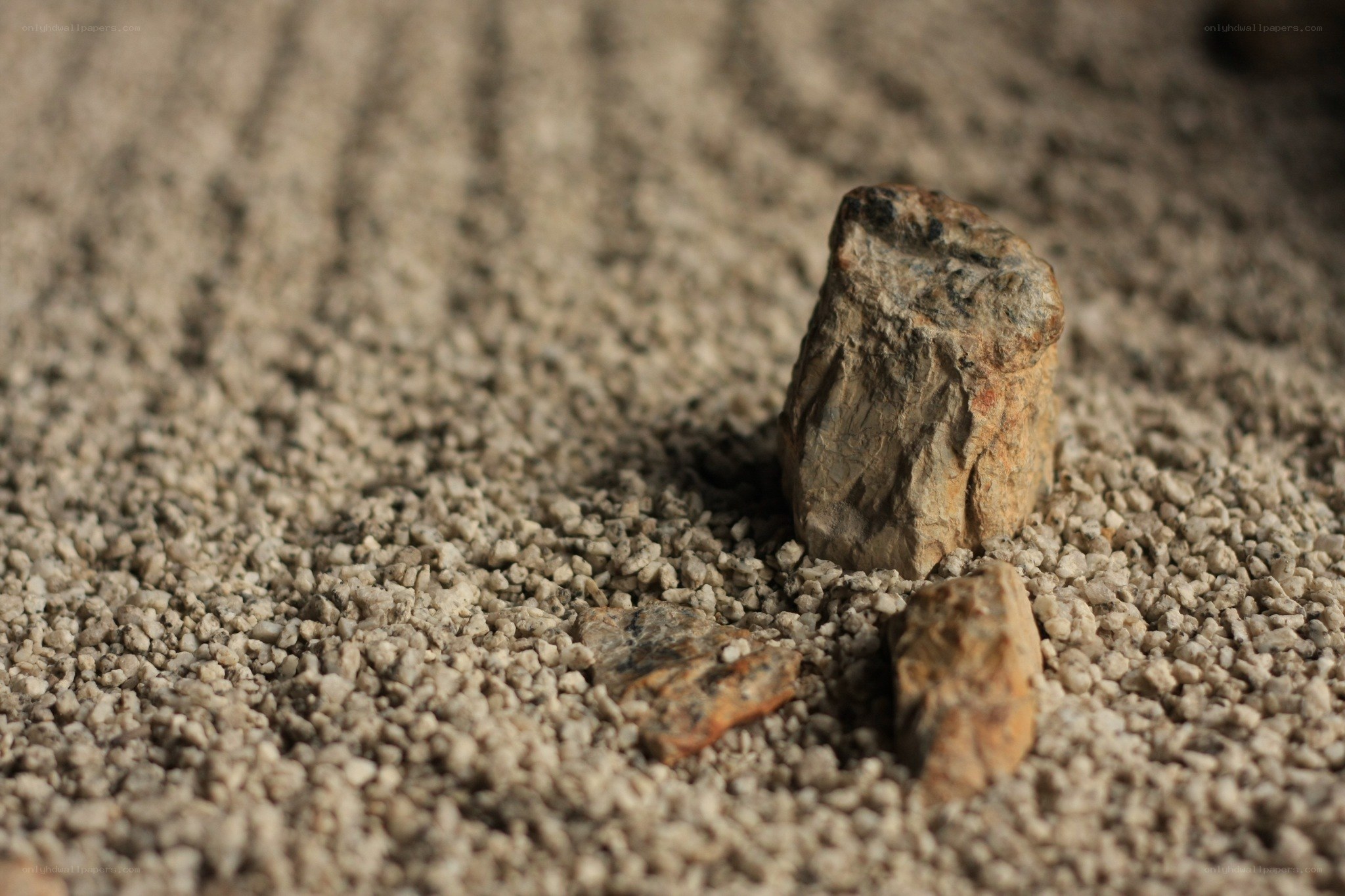Rocks on gravel surface