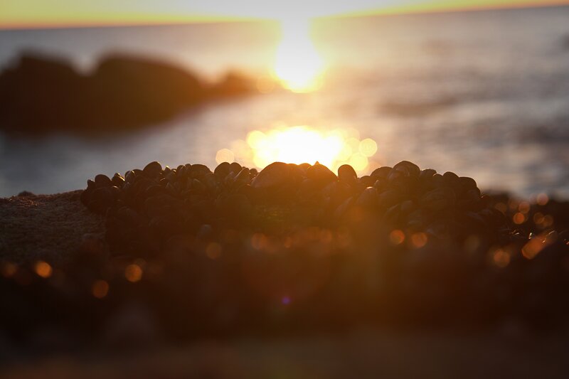 Rocks on Seashore — Orange, Serene