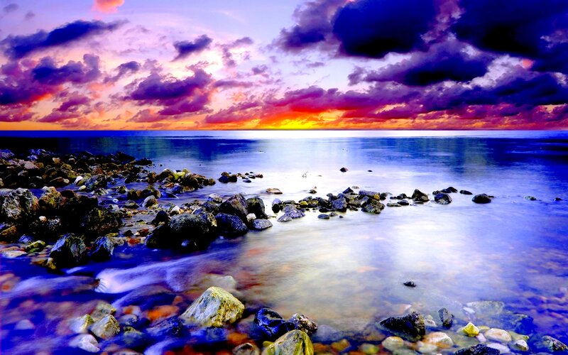 Rocks on Seashore — Purple