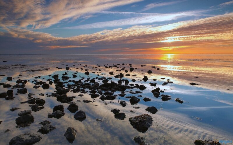 Rocks on Tidal Flat
