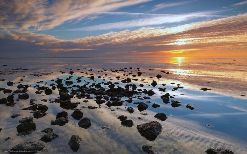 Rocks on Wet Beach — Blue, Serene, Sunset
