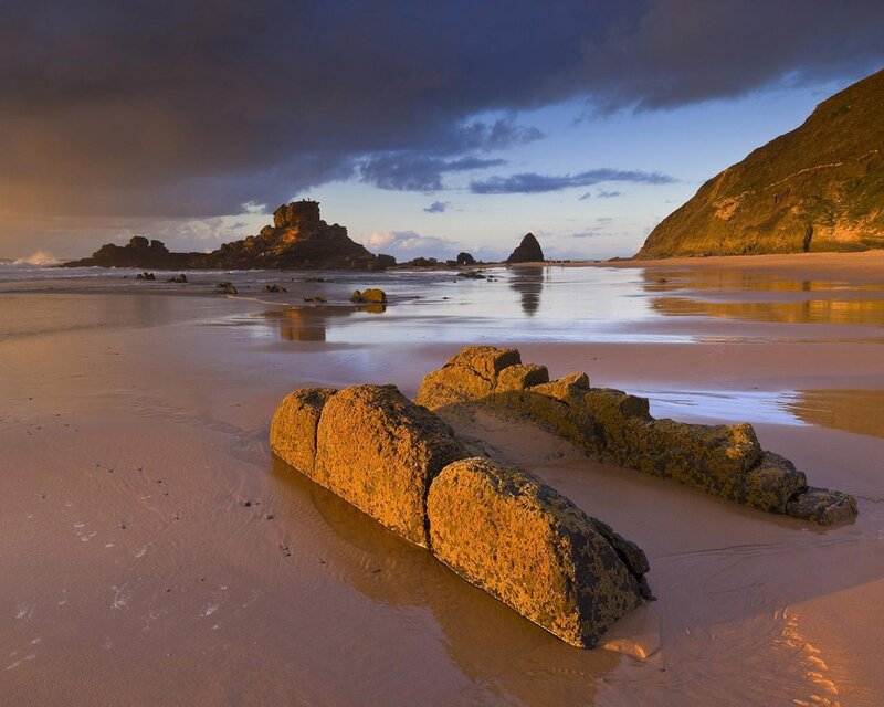 Rocks on Wet Beach — Brown