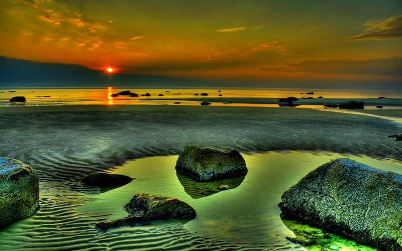 Rocks on Wet Beach — Orange