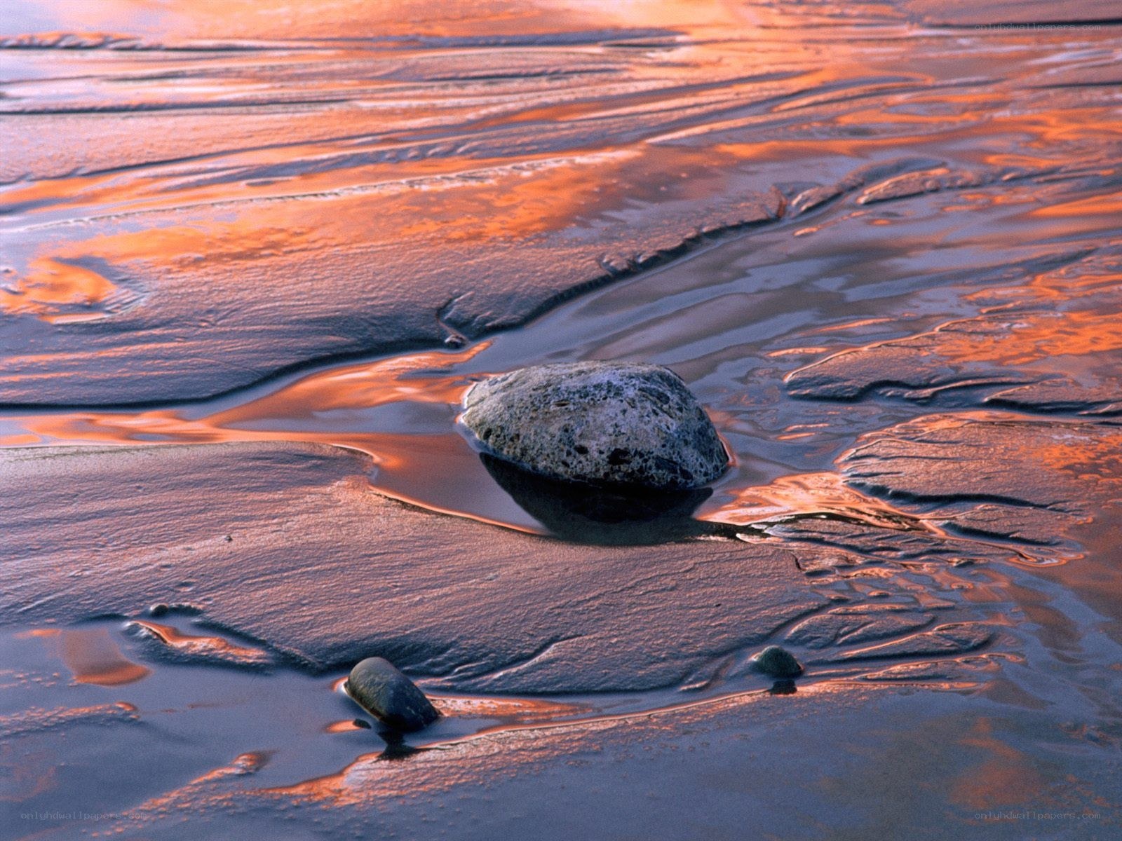 rocks on wet sand at sunset