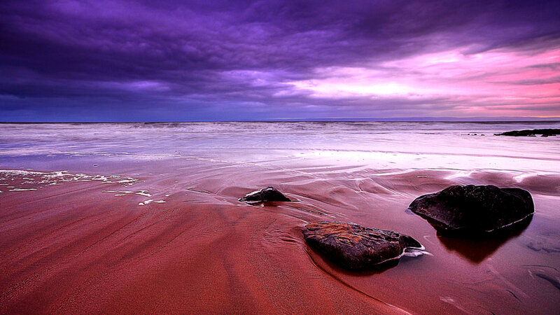 Rocks on Wet Sand