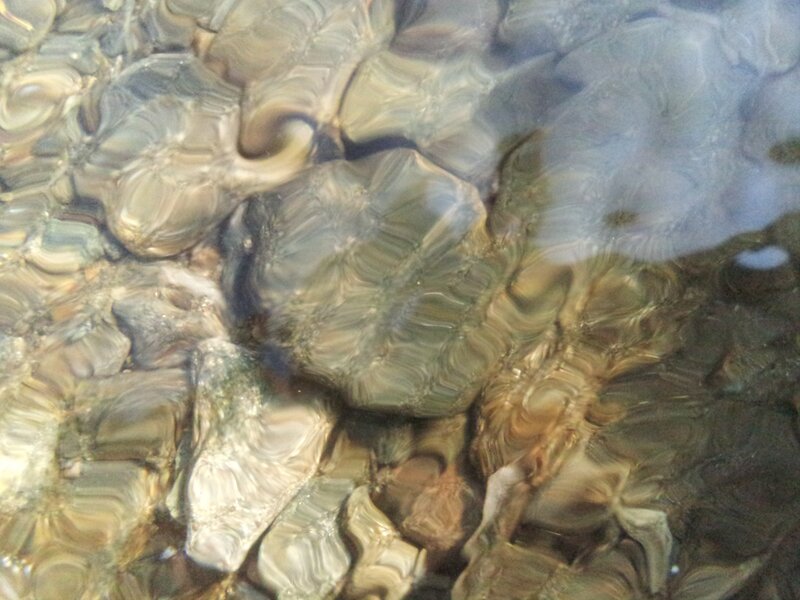 Rocks under rippling water