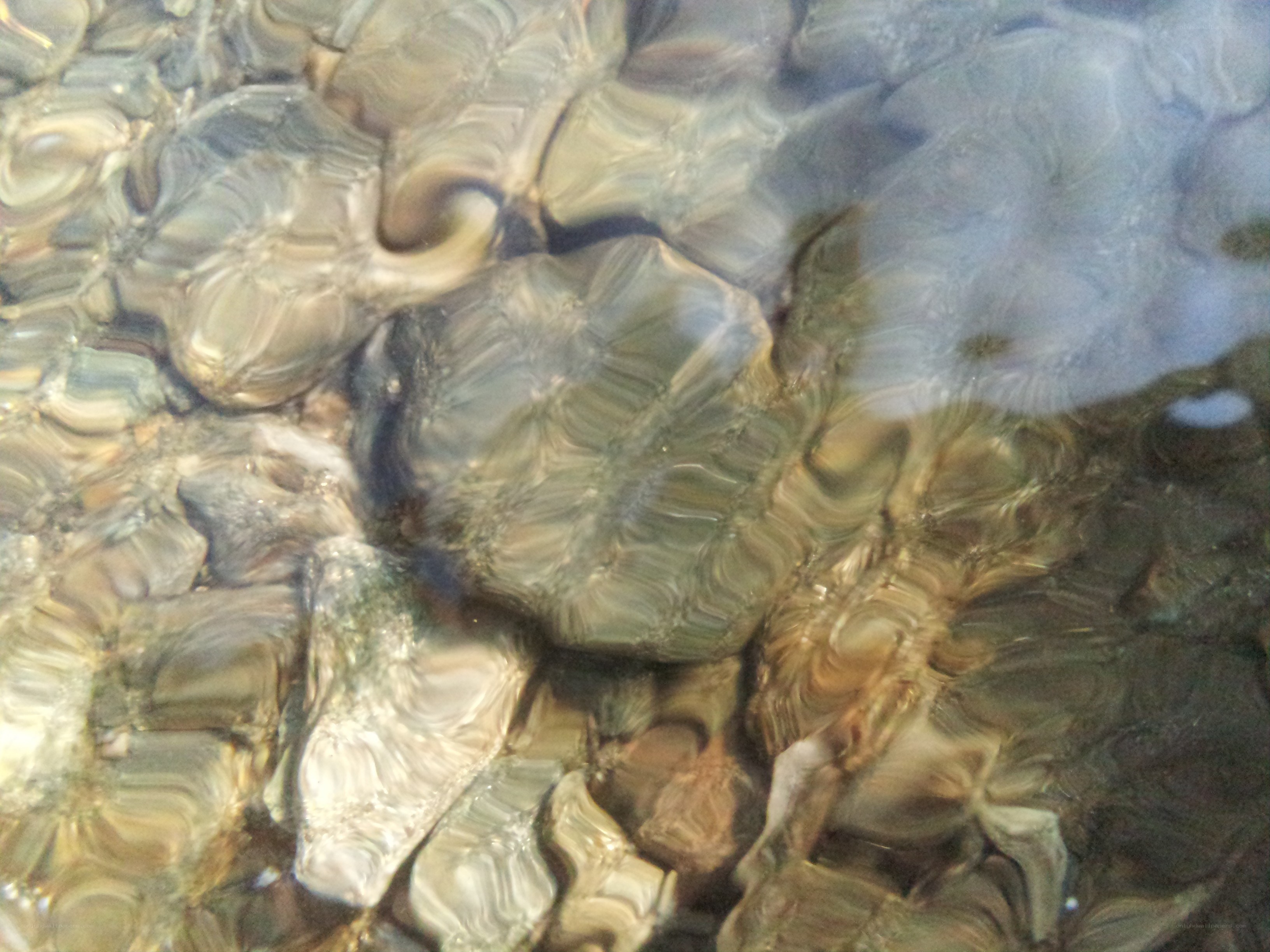 Rocks under rippling water