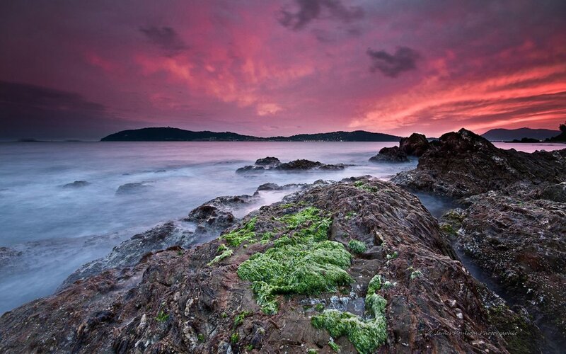Rocks with Green Algae