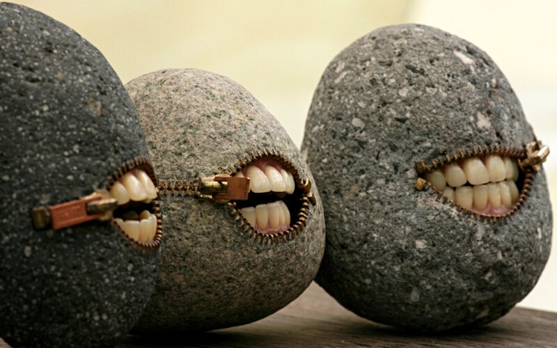 rocks with zipper mouths