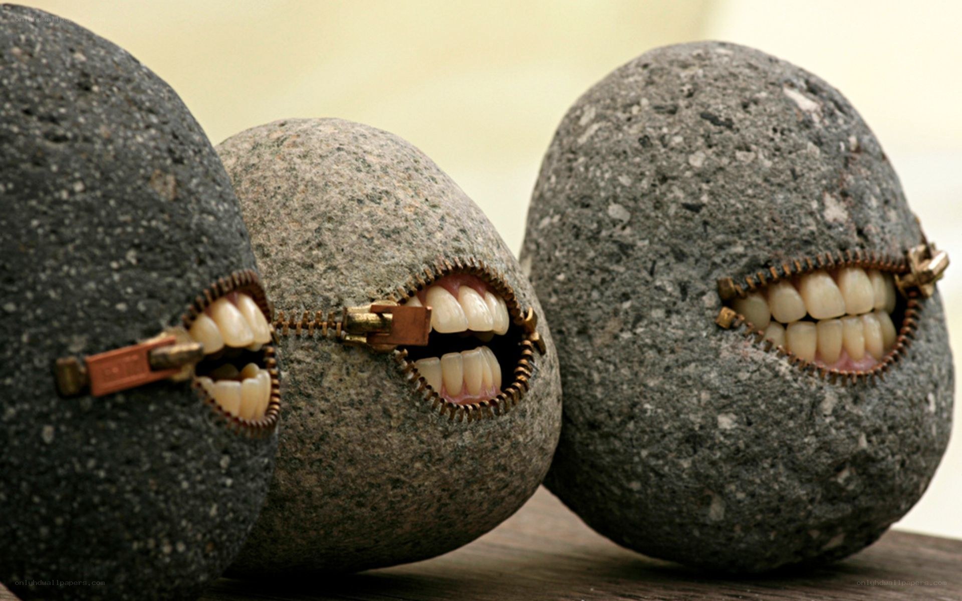 rocks with zipper mouths