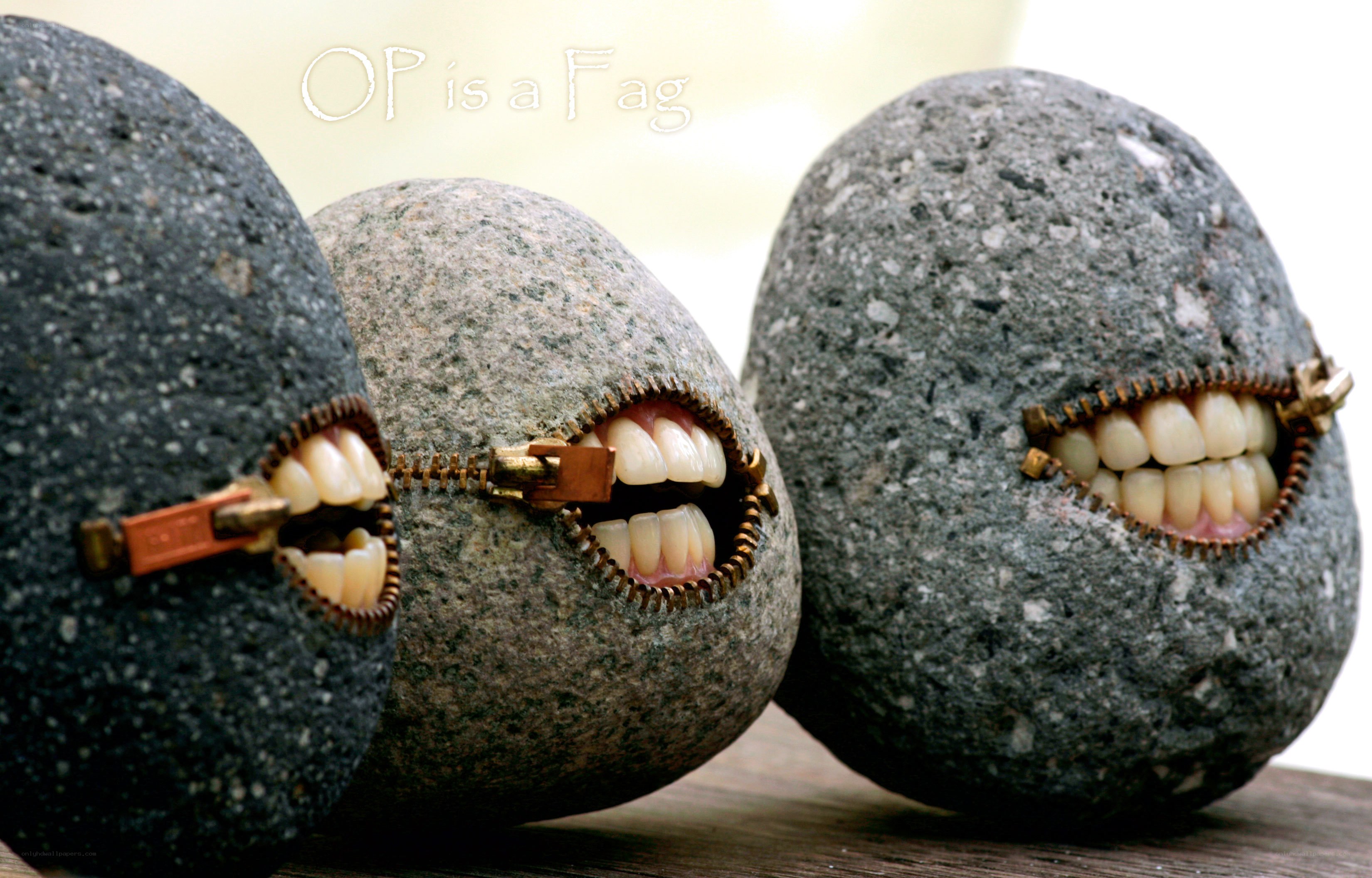 rocks with zipper mouths