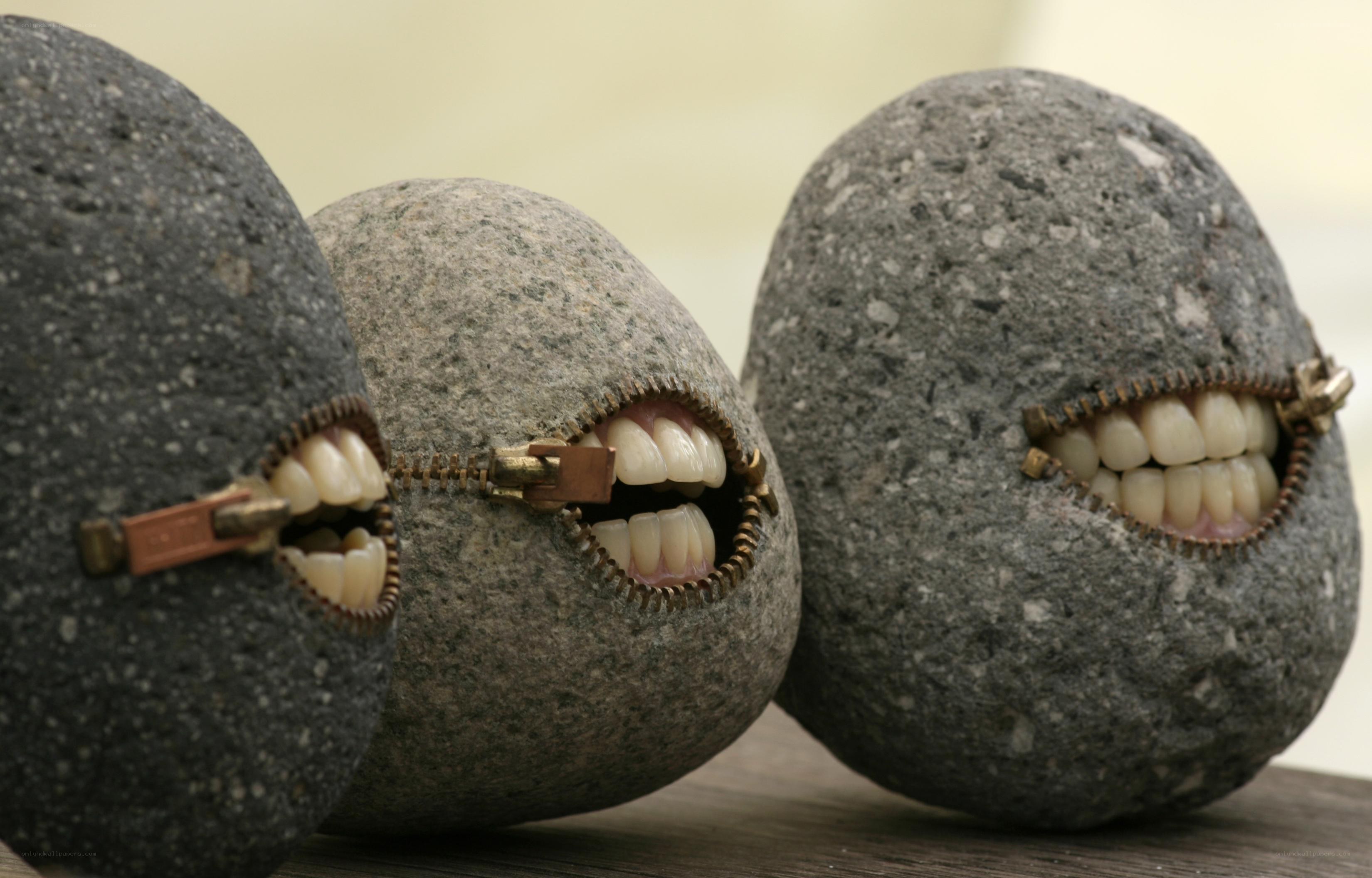 rocks with zipper mouths