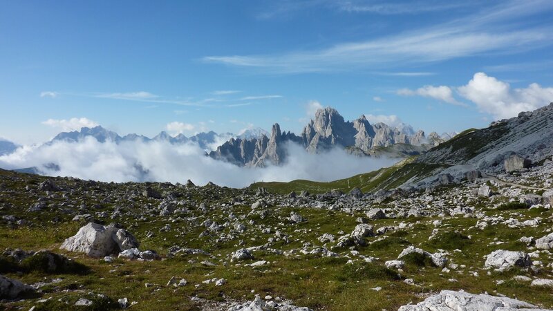 Rocky Alpine Meadow