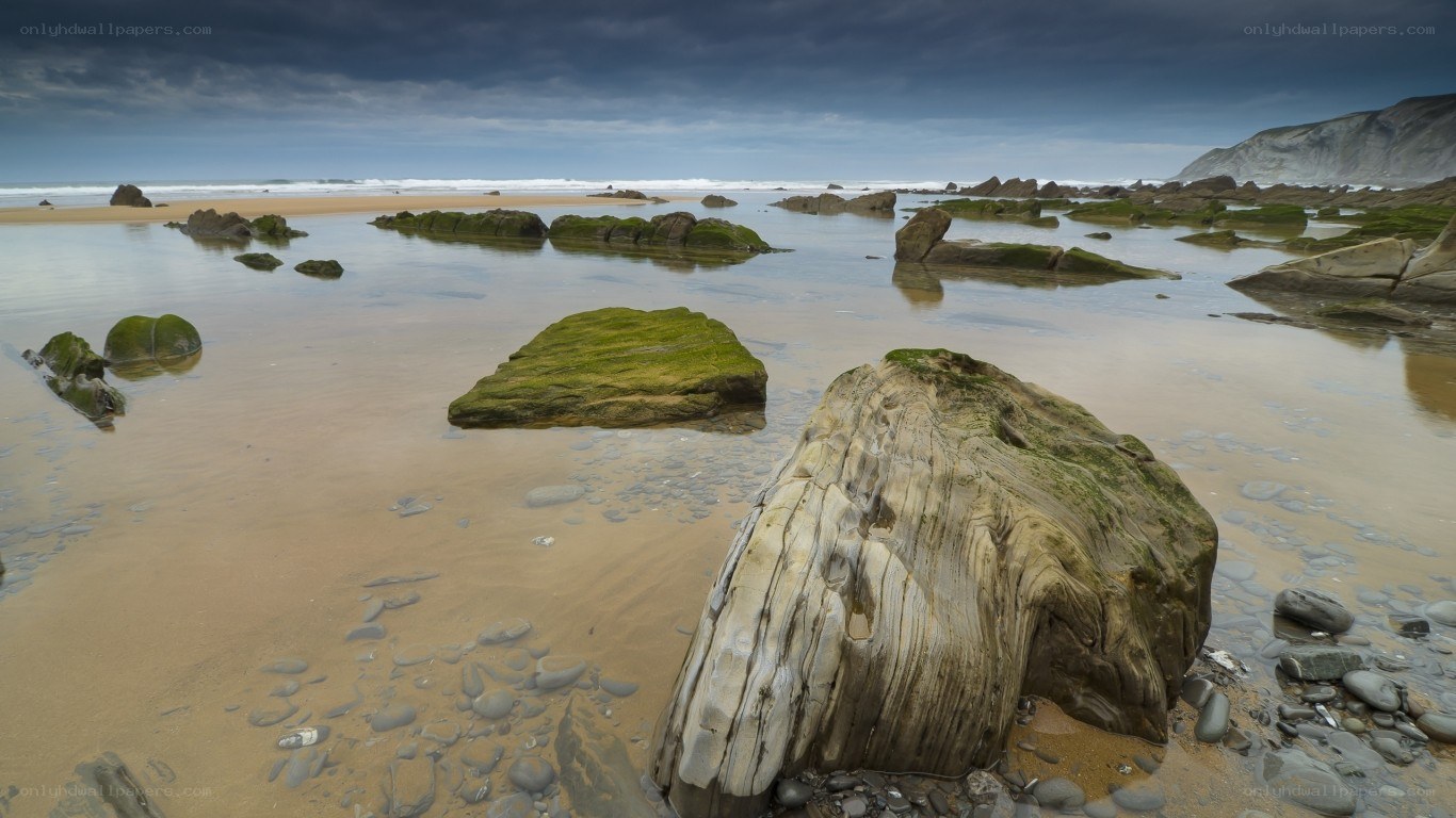 Rocky beach at low tide